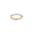 Two Tone Aquila band Ring Yellow Gold White Gold