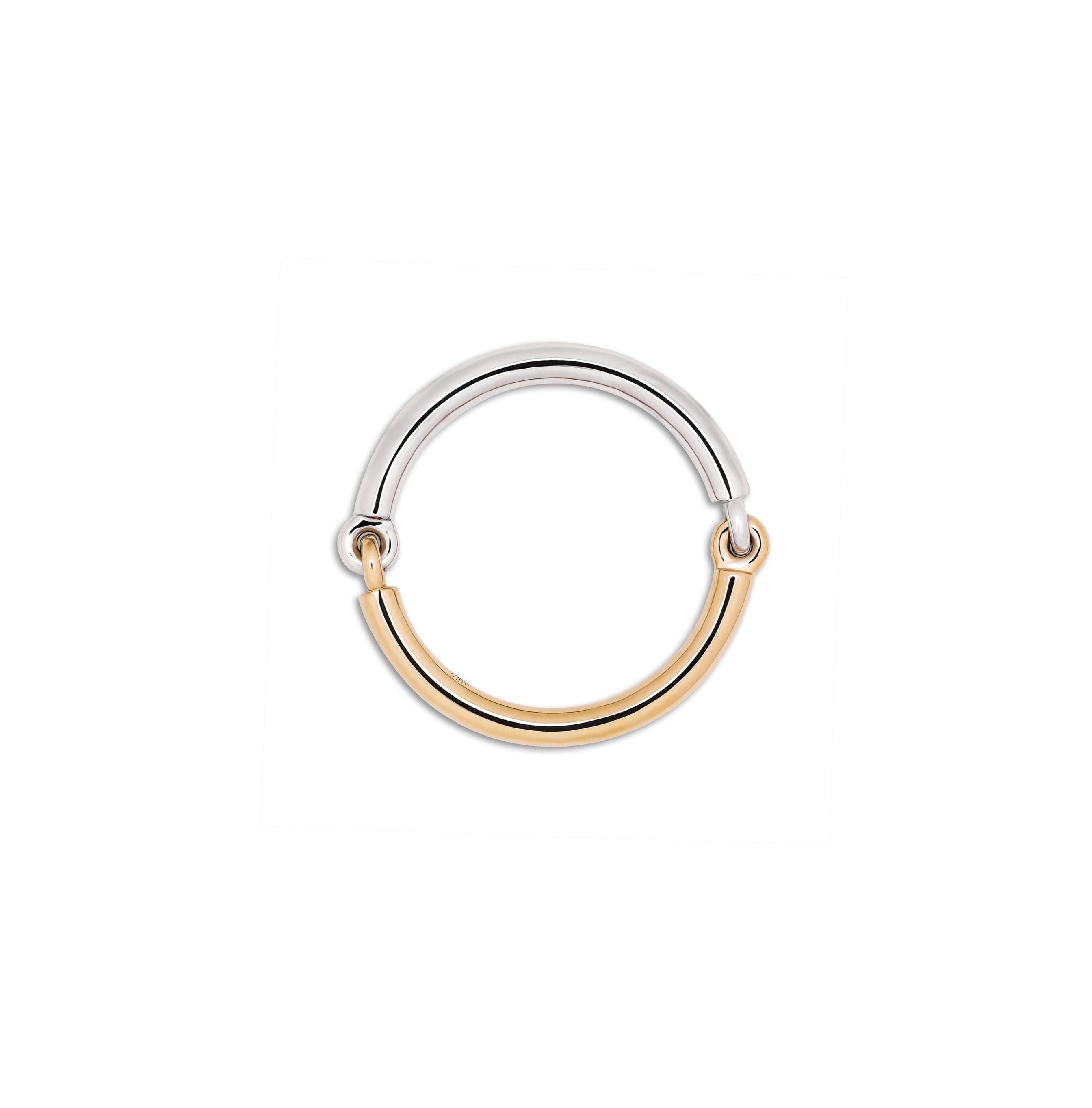 Two Tone Aquila band Ring Yellow Gold White Gold