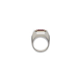 Solitaire Ring | Garnet | Mixed Metal