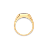 Solitaire Rectangle Ring | Small Scale | Emerald |  Mixed Metal