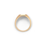 Sig Ring | Rectangle | Diamond | Yellow Gold