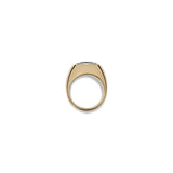 Solitaire Round Ring | Large Scale | Tourmaline | Mixed Metal
